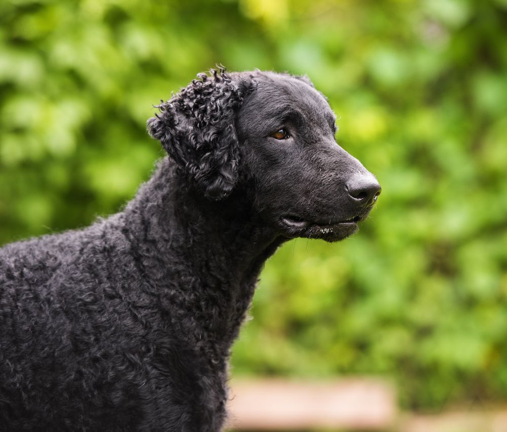 Question of the Week